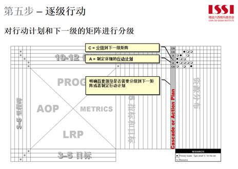 逐级行动